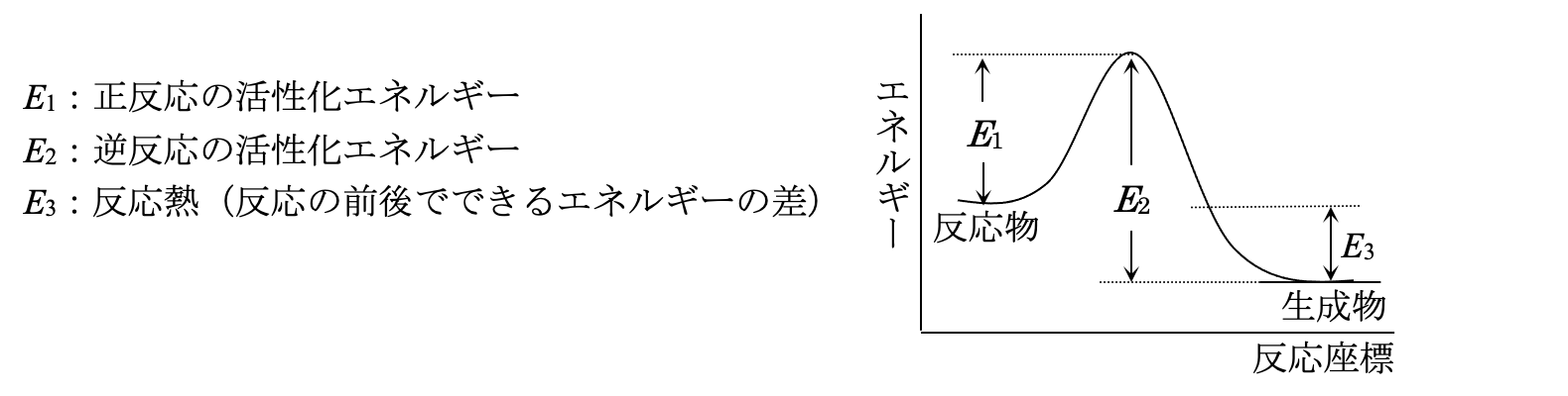 解説画像